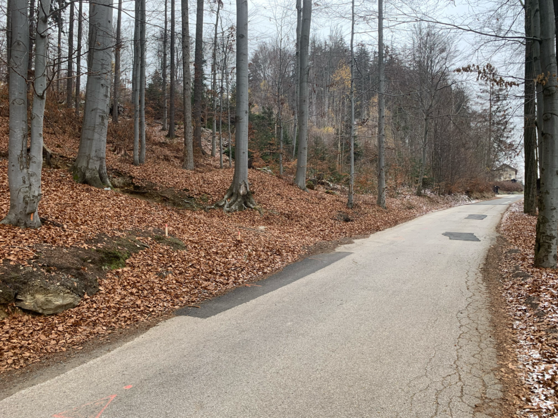 Pozemek Paseky nad Jizerou